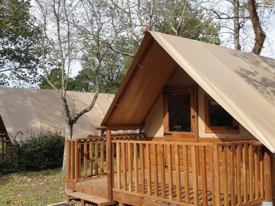 Lodge Amazone 20m² with 2 bedrooms and wooden terrace