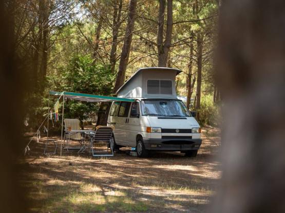 BASIC : Emplacement caravane ou camping car (-5m)