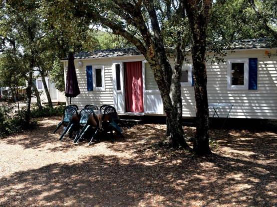 MOBIL HOME Confort Climatisé - 2 ch - 24m² / Palmier et Olivier