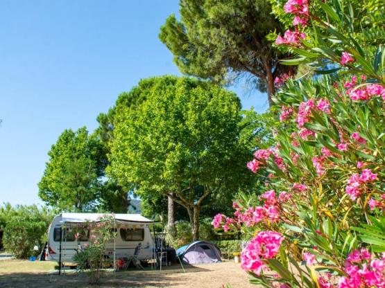 Emplacement : voiture + tente ou caravane + électricité 10A