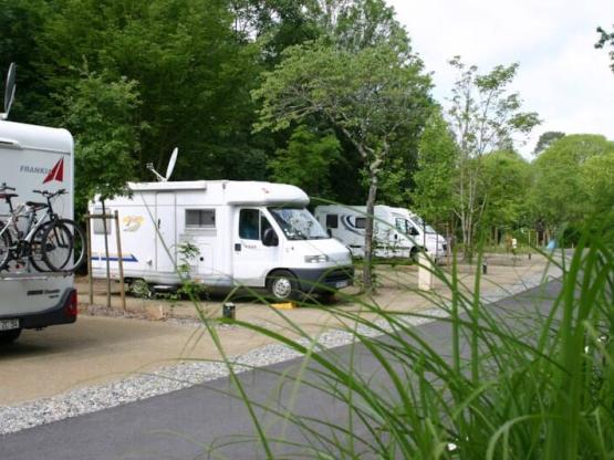 ACSI Camping Auto + elektriciteit + 1 hond