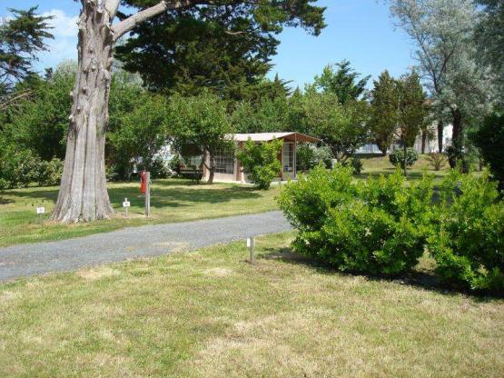 Pitch CONFORT  + tent or caravan