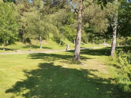 Emplacement  + 1 véhicule