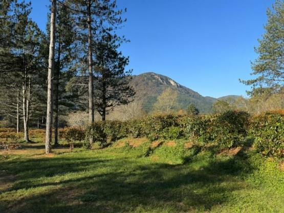 Emplacement Confort - Branchement électrique 10A + Eau + 120m²