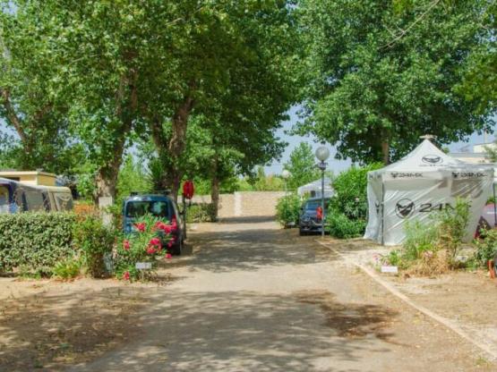 Stellplatz Komfort (Zelt, Wohnwagen, Wohnmobil / 1 Auto / Strom)+Fließwasser- und Abwasseranschluss