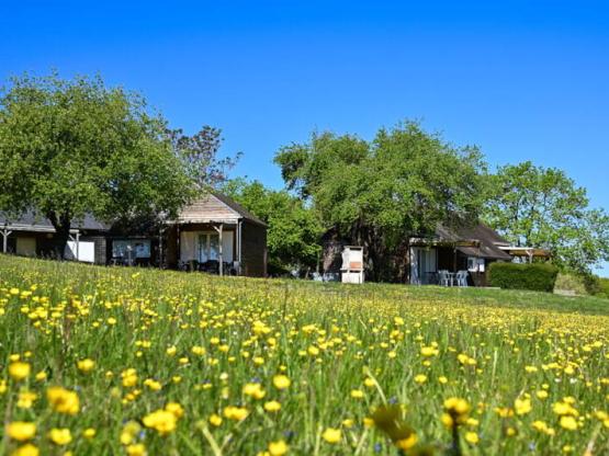 Chalet 35m² (2 chambres) terrasse couverte - Le Parc des Coteaux 800m du camping