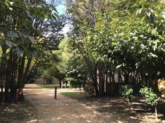 Emplacement + 1 voiture + tente  + électricité 10A