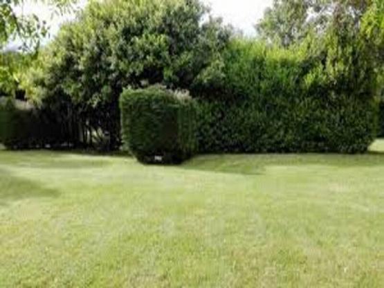 Pitch + 1 car + tent , caravan or motor home