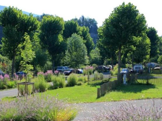 Emplacement + 1 voiture + tente, caravane ou camping-car