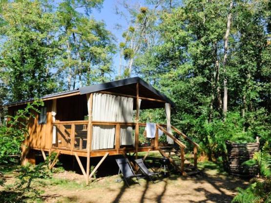 Hutten in het bos