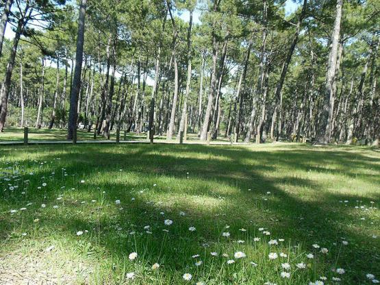 Emplacement pour Tentes