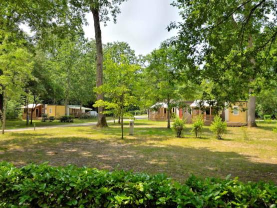 Forfait Confort : 1 voiture + tente, caravane ou camping-car + électricité