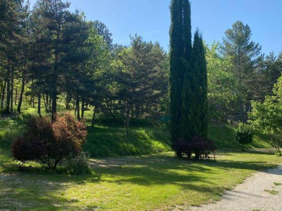 Emplacement Confort Large Tente/Van/Caravane/Camping-Car (avec électricité)