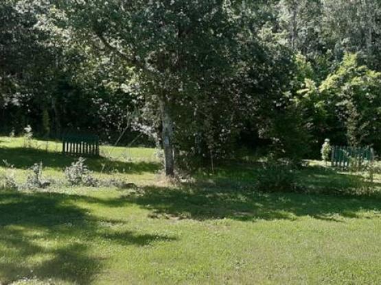 Emplacement + 1 voiture + tente, caravane ou camping-car