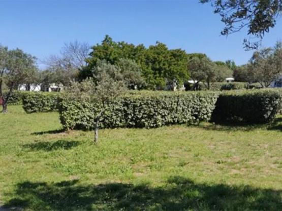 Forfait Confort (1 tente, caravane ou camping-car / 1 voiture / électricité 16A)