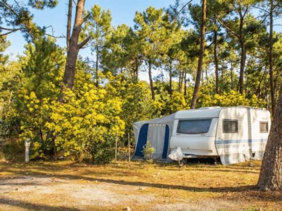 CLASSIC : Emplacement caravane ou camping car (5 à 6.50m)