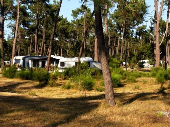 ESPACE : Emplacement caravane ou camping car (7 à 8.5m)