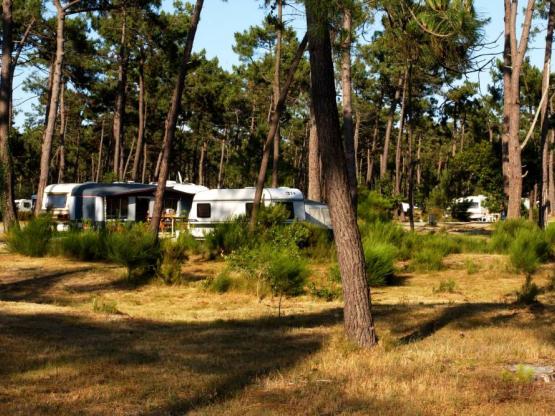 INFINI : Emplacement caravane ou camping car (9m et +)