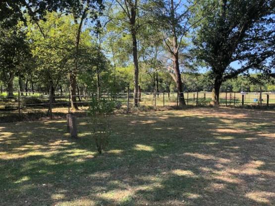 Emplacement Classique 90 m2 avec Electricité 6A (1 ou 2 pers. + 1 tente + 1 voiture)