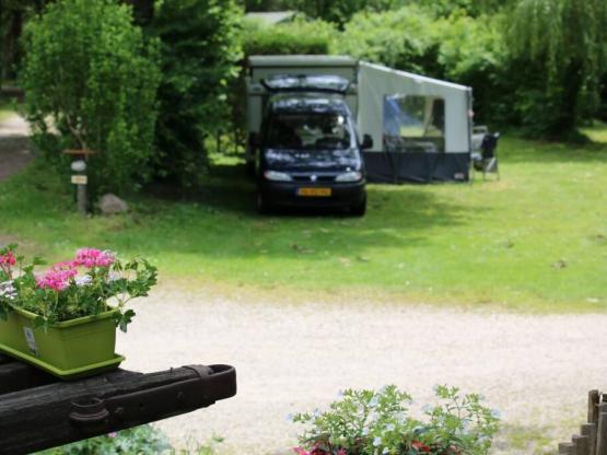 Comfortkampeerplaats (met elektriciteit)