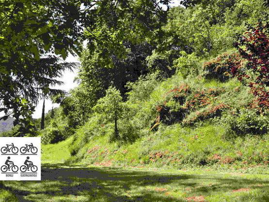Emplacement spécial Vélo / Bicycle