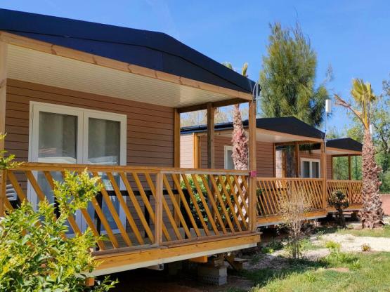 CALIFORNIA. STANDARD