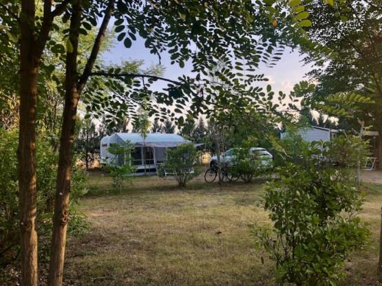 06 Emplacement XXL (+200m²) véhicule + électricité 6A