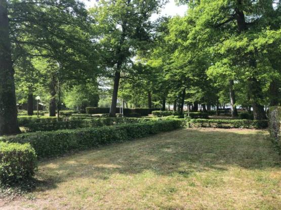 FORFAIT RANDO : 1 pers.