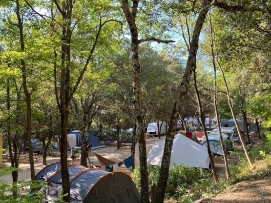 Emplacement : tente ou caravane avec 1 véhicule léger ou camping-car/van avec électricité