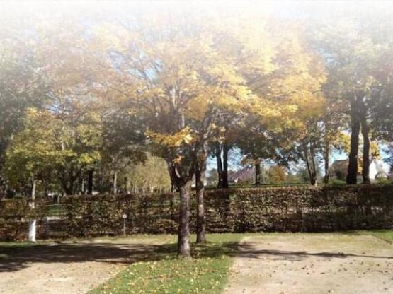 Emplacement randonneur 1 personne sans électricité + véhicule 2 roues