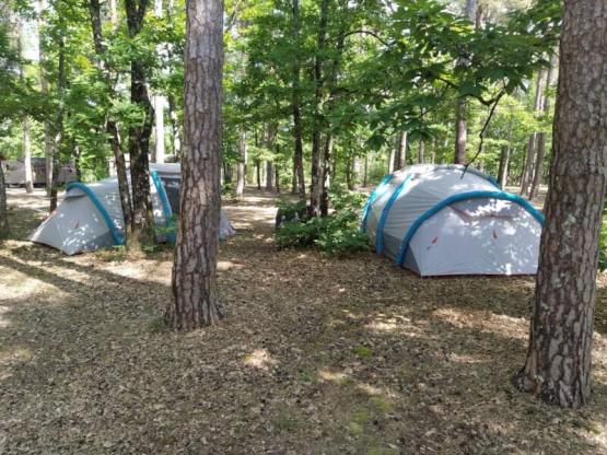 Forfait camping (emplacement + 1 véhicule)