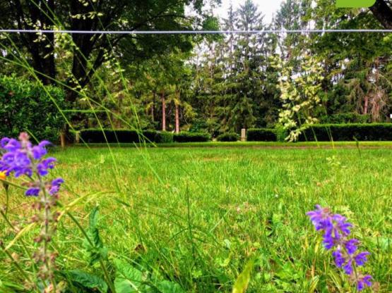 Forfait camping (emplacement, 1 véhicule)