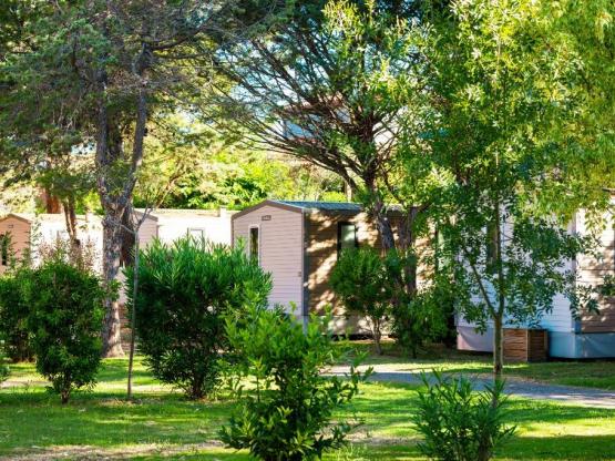 SUNÊLIA PRESTIGE OLIVIER