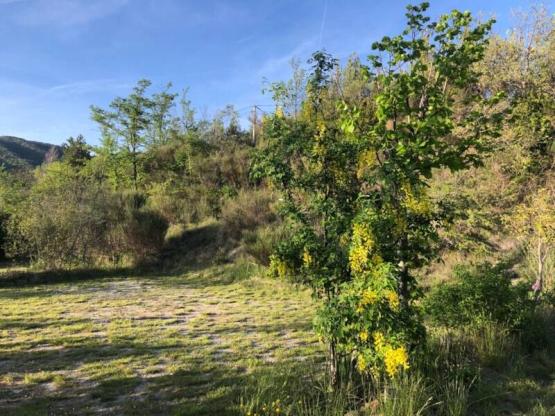 Forfait Privilège - emplacement tente, caravane ou camping-car (1 voiture / électricité) + point eau