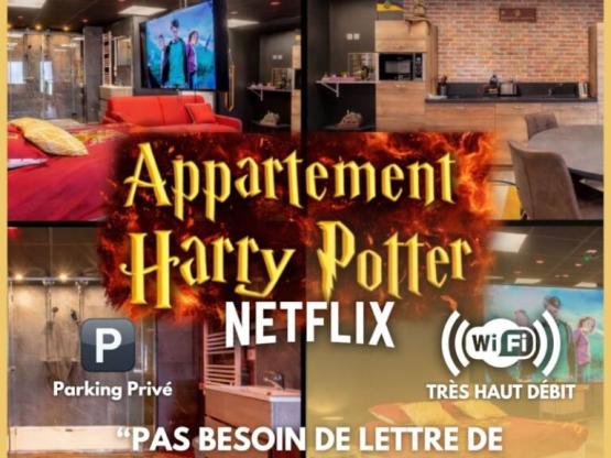 Harry Potter Univers magique | Ambiance immersive