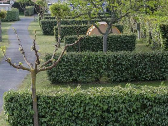 Emplacements entre 70 et 90 m² avec ou sans électricité pour 1 à 6 personnes maximum