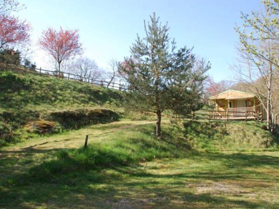 Chalet Confort Acacia 2 Schlafzimmer in der Nähe des Pools - 25m² + 10 m² überdachte Terrasse