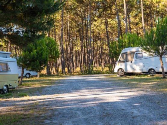 Staanplaats met elektriciteit+Water+Afvoersysteem