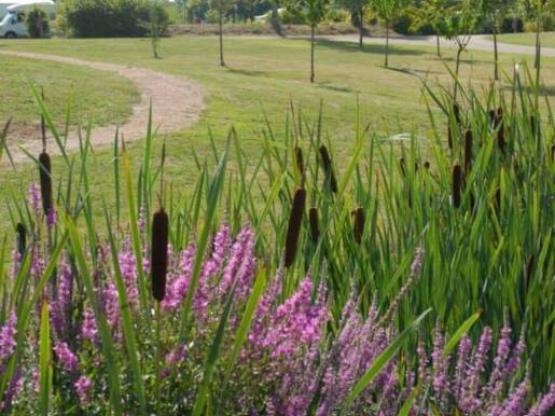Standplaats Pakketprijs Wandelaar per voet of per fiets met tent