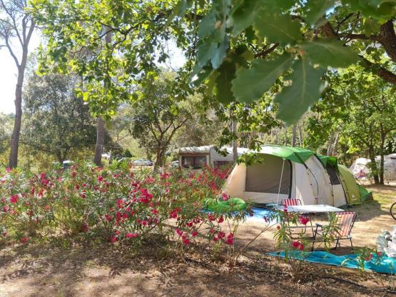 Emplacement TENTE CLASSIQUE avec électricité 6A
