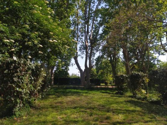 Emplacement pour une personne avec véhicule à moteur (voiture, camping-car ou moto)