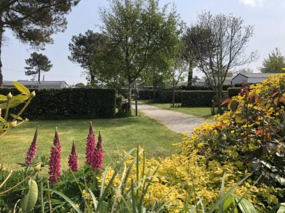 Emplacement Nu XL camping-car, caravane ou tente AVEC Electricité