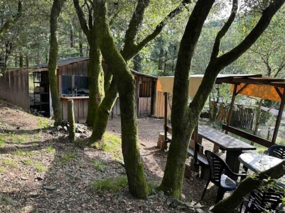 Emplacement Les Terrasses Grand Espace Grand Confort