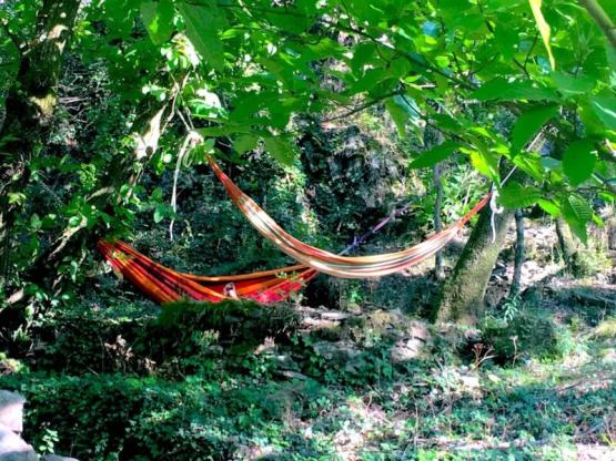 Emplacement Dans les Bois - ombragé ou semi ombragé