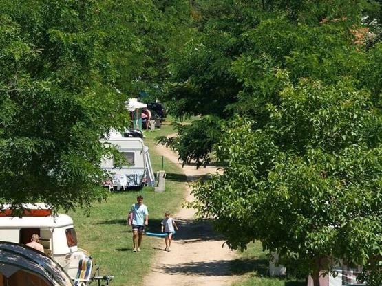 Stellplatz Confort + Auto + Zelt oder Wohnwagen + Strom