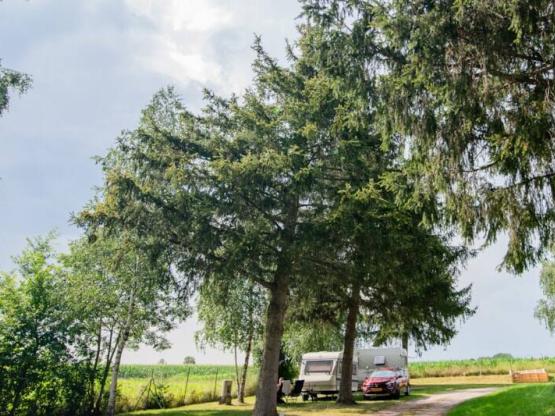 Forfait camping (emplacement, 2 personnes, 1 véhicule)
