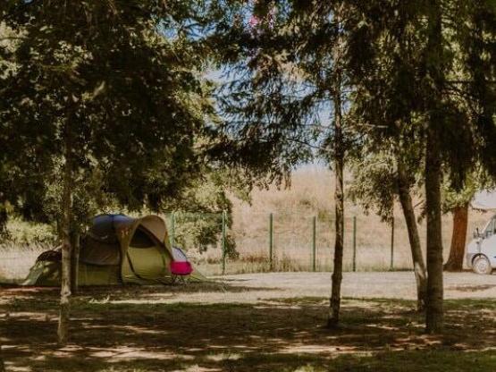Forfait camping (emplacement, 2 personnes, 1 véhicule)