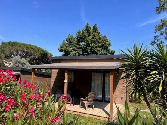 Chalet Premium Escapade  2 chambres