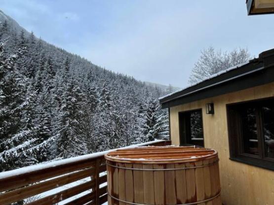 Gamme Chrystal - Chalet Kailloux 54 m² 3 chambres + terrasse 30 m²