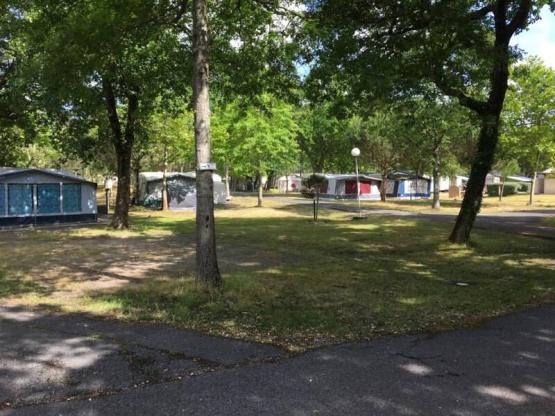 Pitch with electricity (tent/small van)